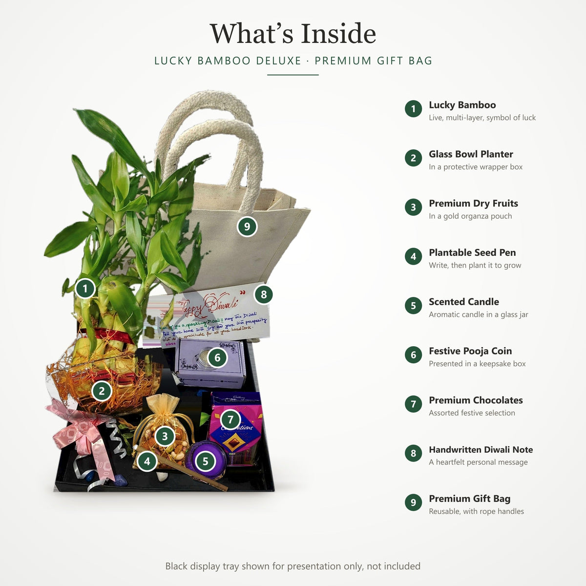 Diwali Lucky Bamboo Deluxe Premium Gift Bag