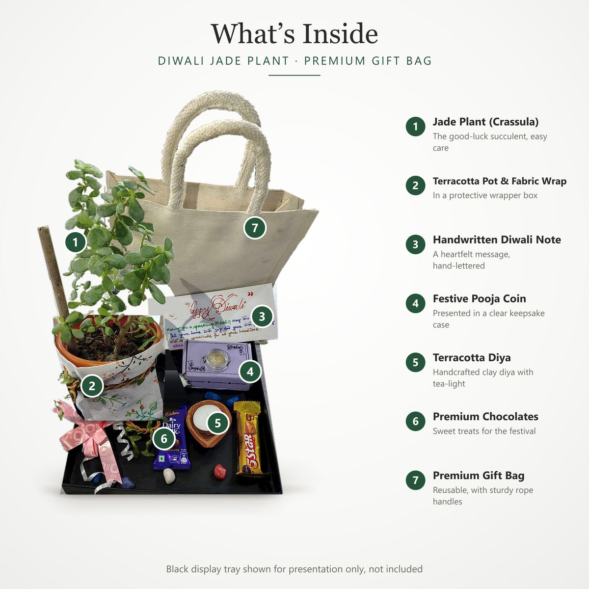 Diwali Jade Plant Premium Gift Bag