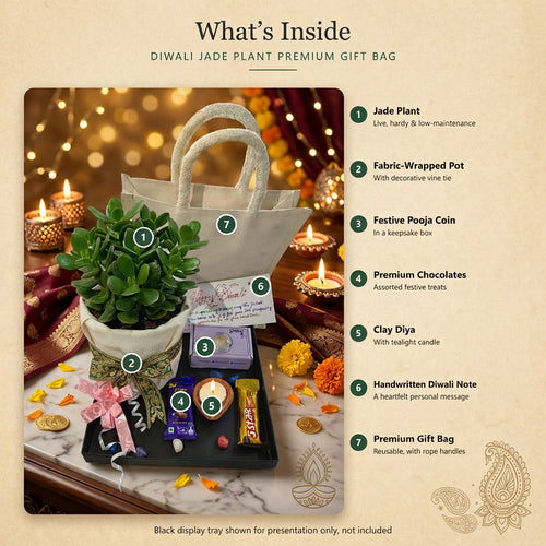 Diwali Jade Plant Premium Gift Bag