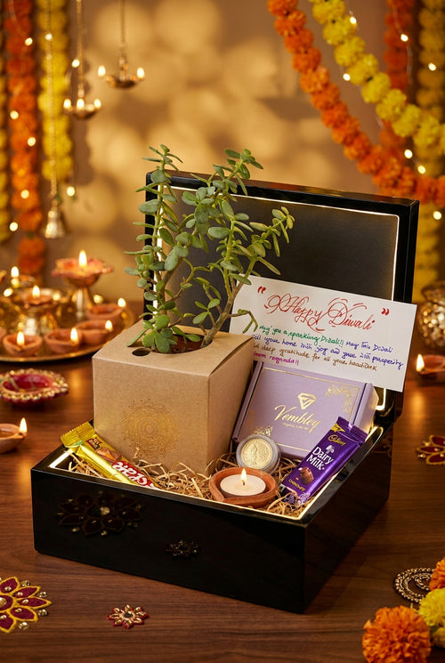 Diwali Jade Plant Gift Hamper