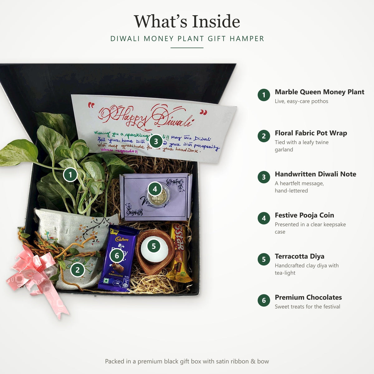 Diwali Money Plant Gift Hamper