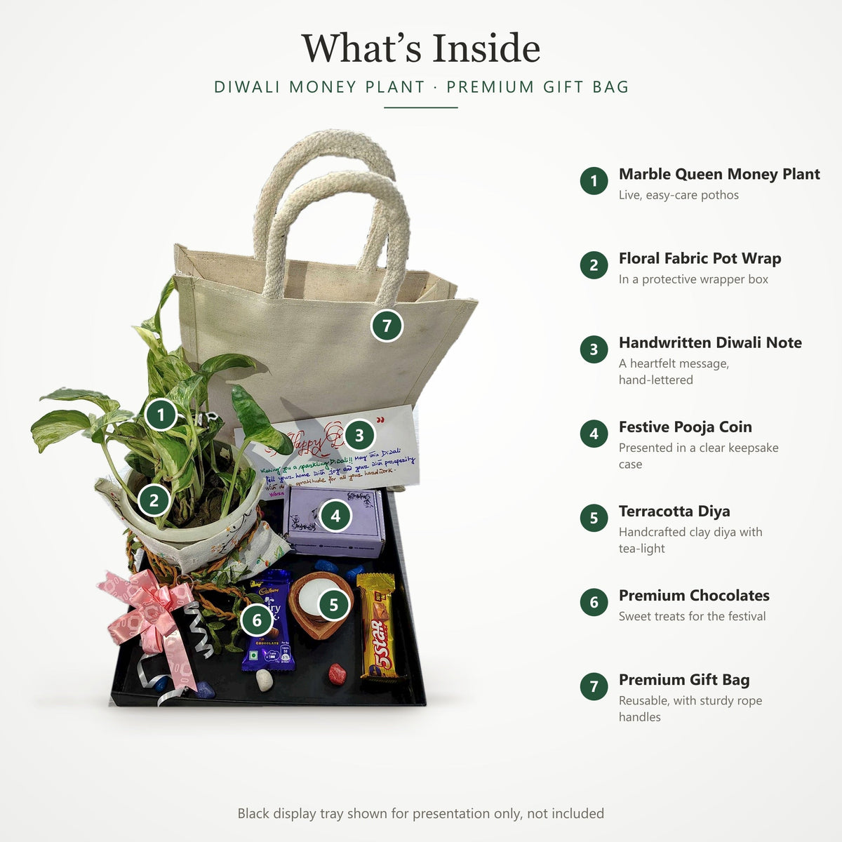 Diwali Money Plant Premium Gift Bag